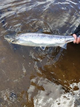 Atholl Sporting Fishing images